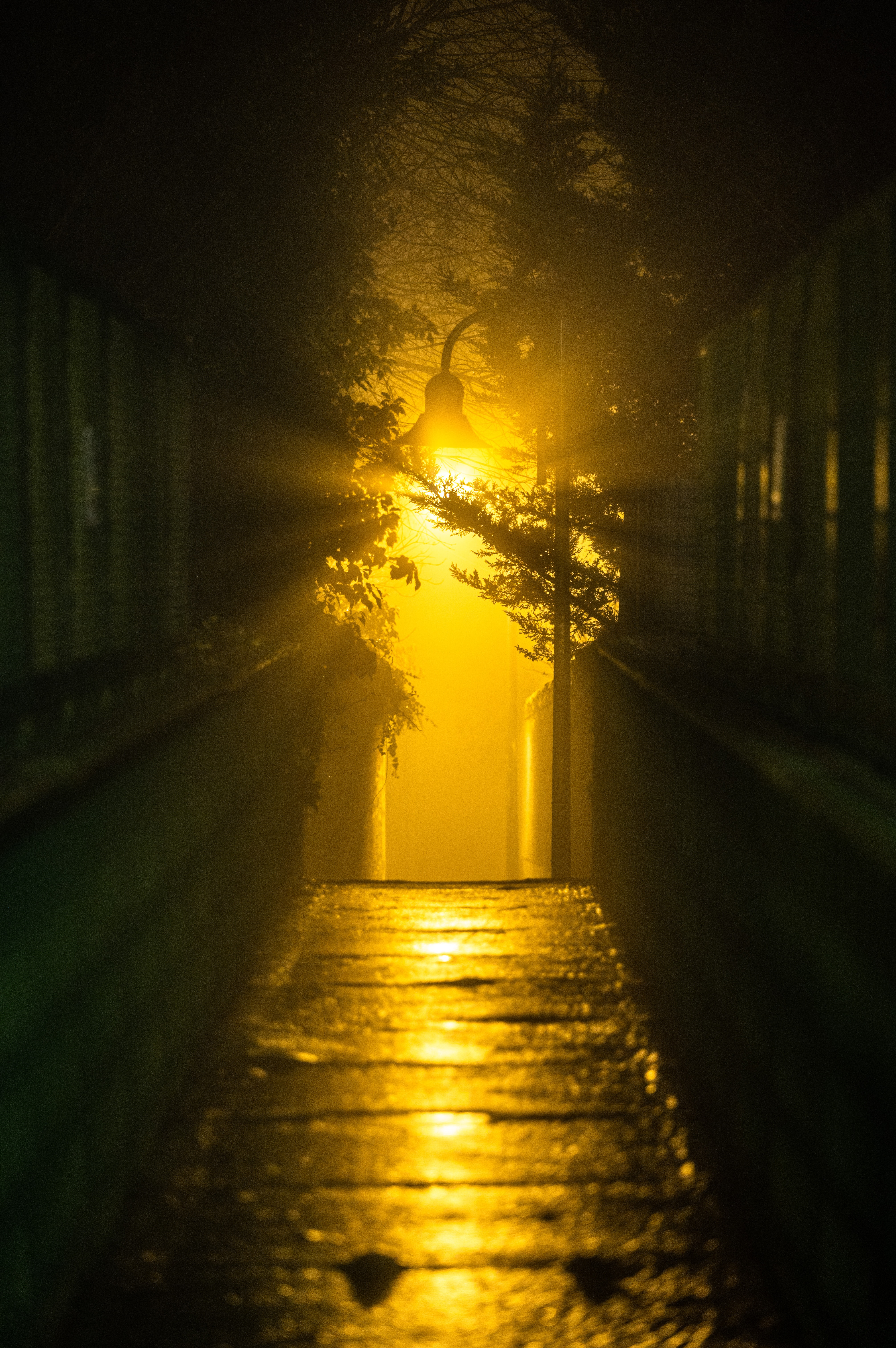 Vi è una certa inclinazione di luce