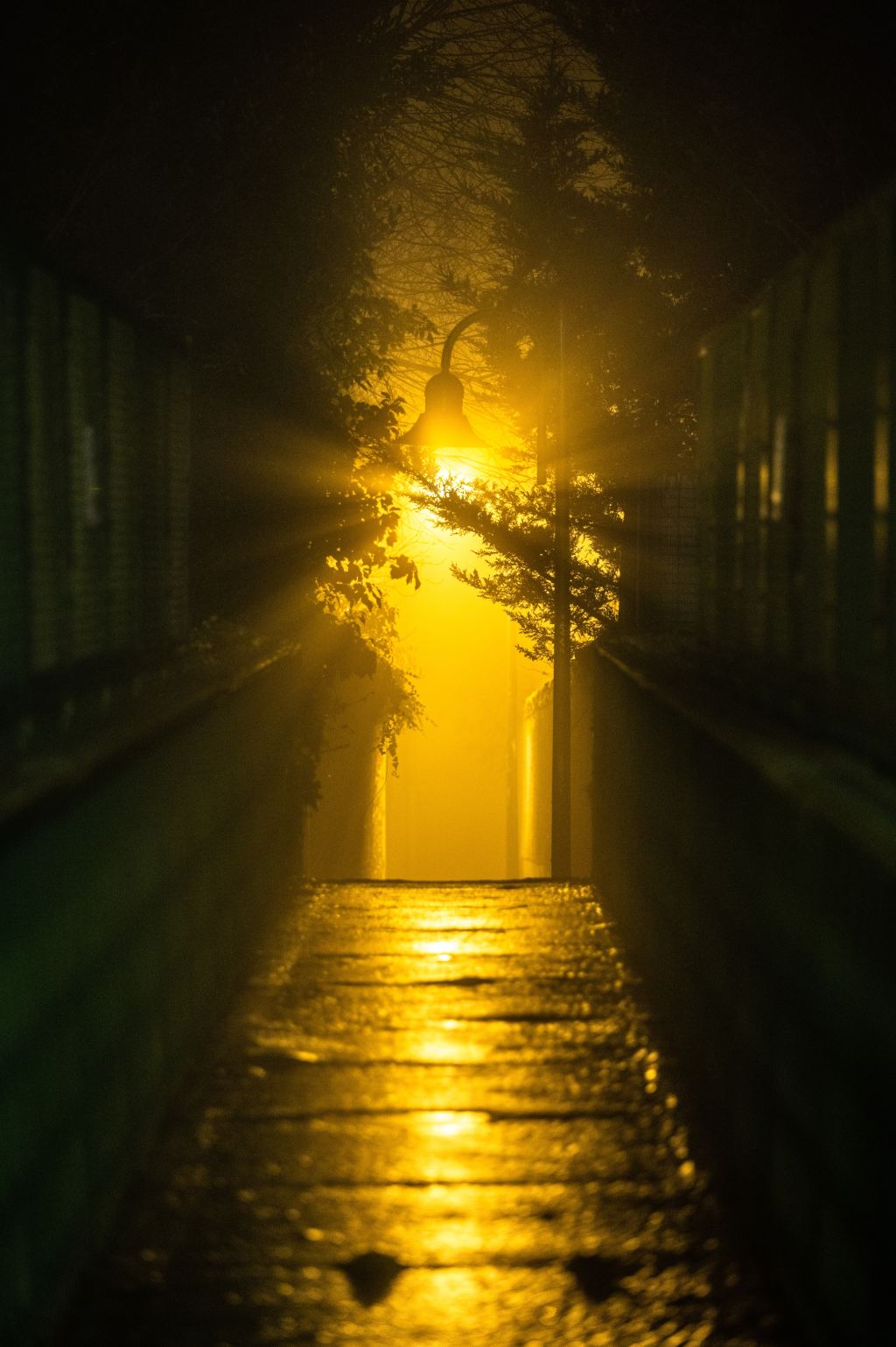 Vi è una certa inclinazione di&nbsp;luce